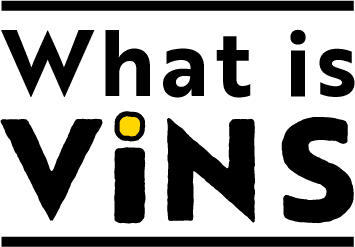 What is ViNS?